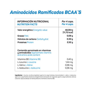 AMINOÁCIDOS RAMIFICADOS BCAA´S
