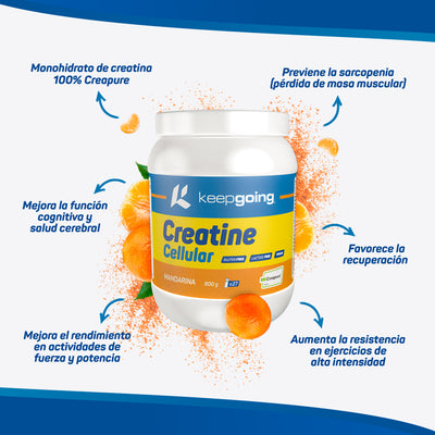 CREATINE CELLULAR - B2B